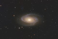 M81 TS Photoline 115 ED APO, ZWO ASI 533 MC (Foto: Christoph Treß)