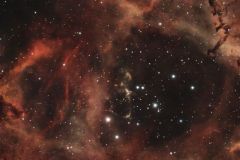 Rosettennebel NGC2237-9/46 mit offenem Sternhaufen NGC2244 im Sternbild Einhorn (Foto: Dirk Panczyk, Bildbearbeitung: Christoph Treß)