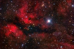 NGC 6910 - Gasnebel rund um den Stern Gamma Cygni (Foto: Norbert Mrozek)