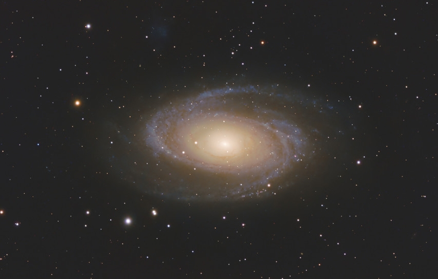 Galaxie Messier 81 im Sternbild Großer Bär (Foto: Christoph Treß)